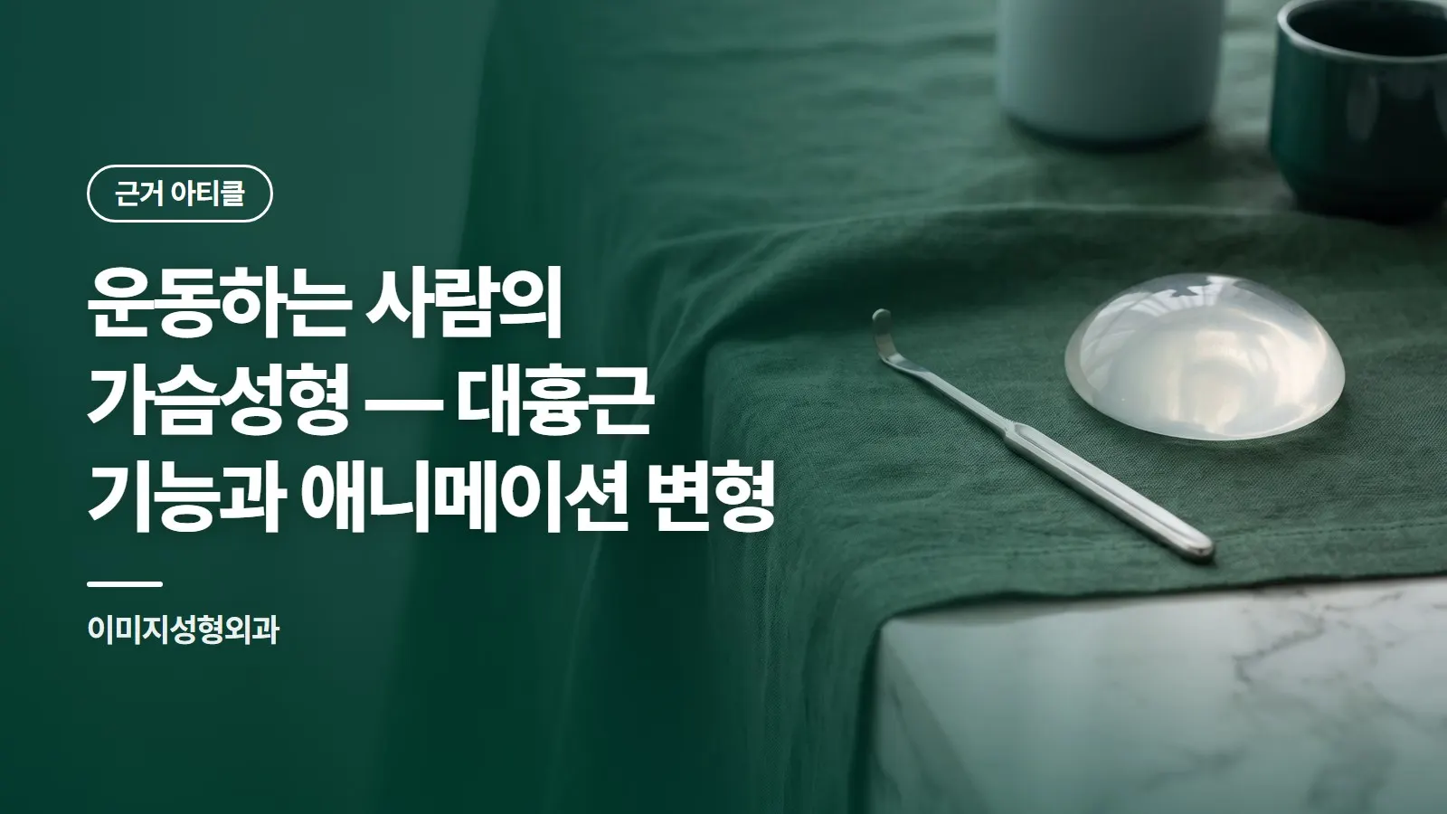 운동하는 사람의 가슴성형 — 대흉근 기능과 애니메이션 변형